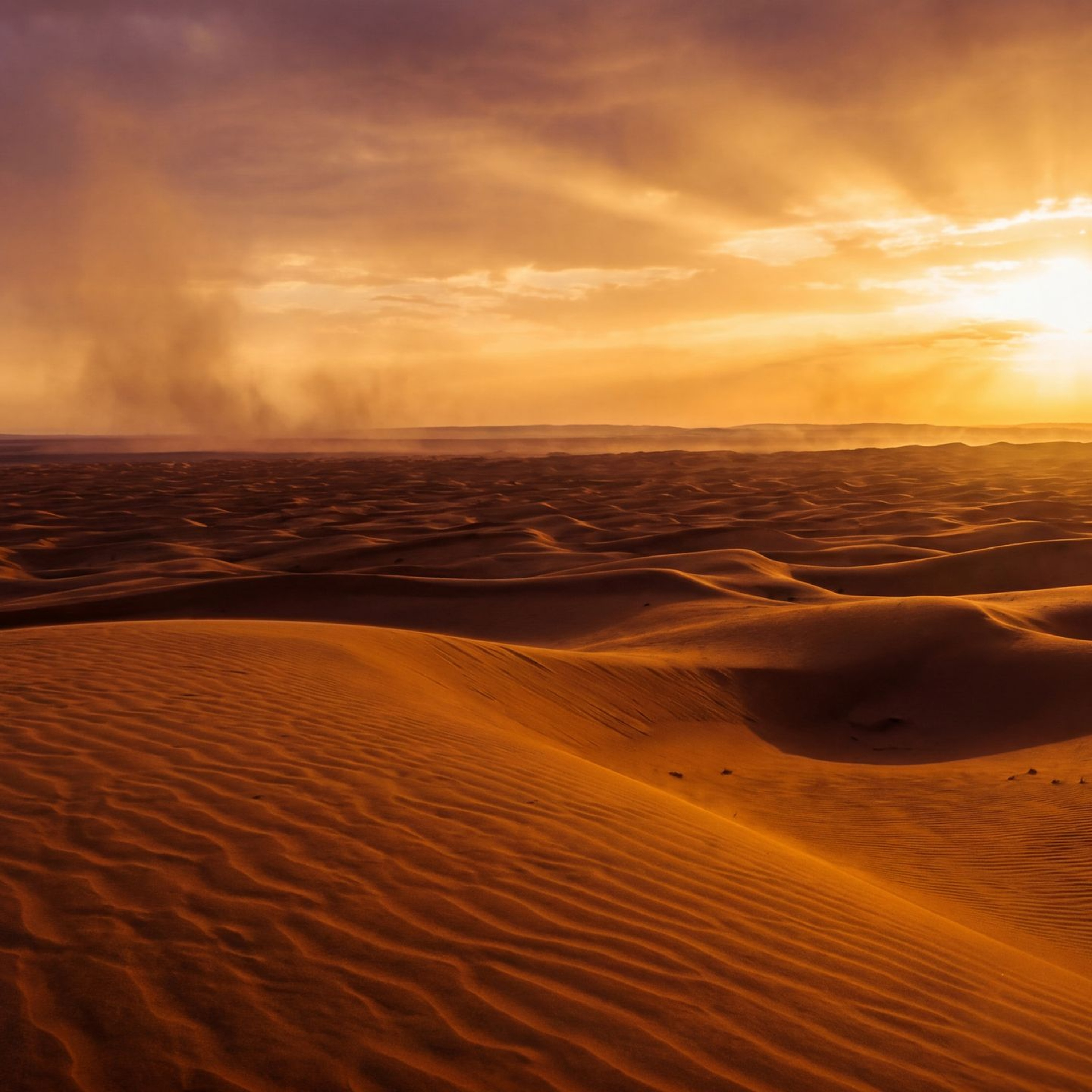 Golden Frequency Rise — The Awakening